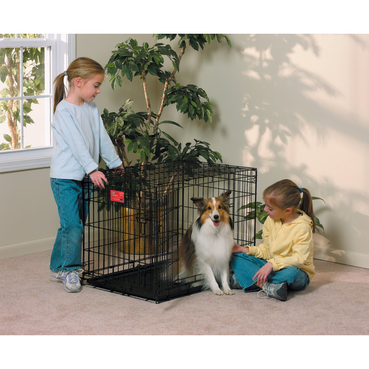 Life shop stages kennel